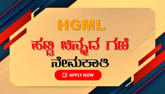 Hutti Gold Mines Company Limited Recruitment 2024